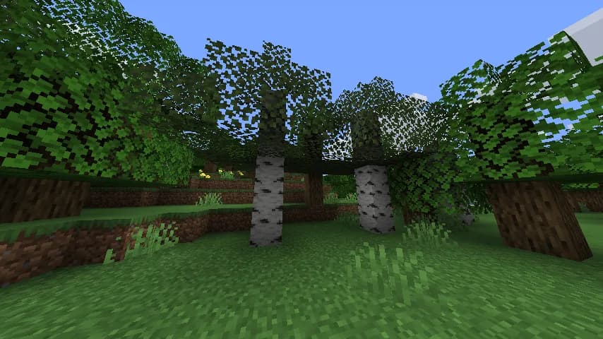 Cull Leaves для Minecraft