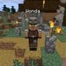 Villager Names для Minecraft