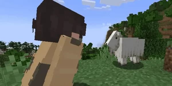 PatPat [Mod & Plugin] — плагин для Minecraft
