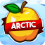 Arcticmc