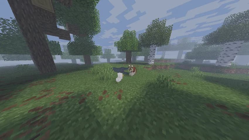 ESSENTIALS Shader для Minecraft