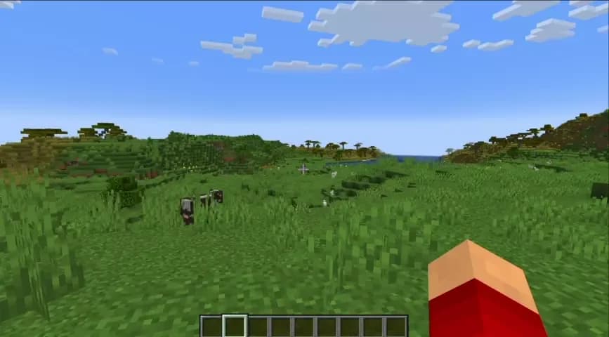 Zoomify (Zoom) для Minecraft