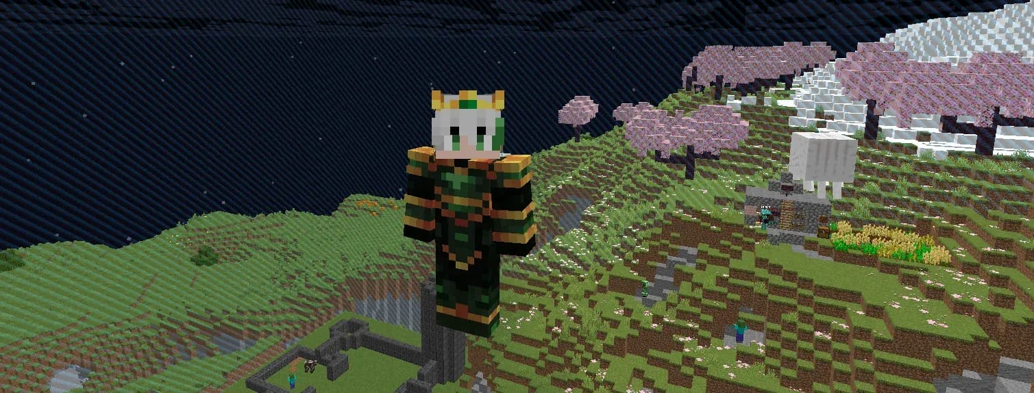 InfinitySMP