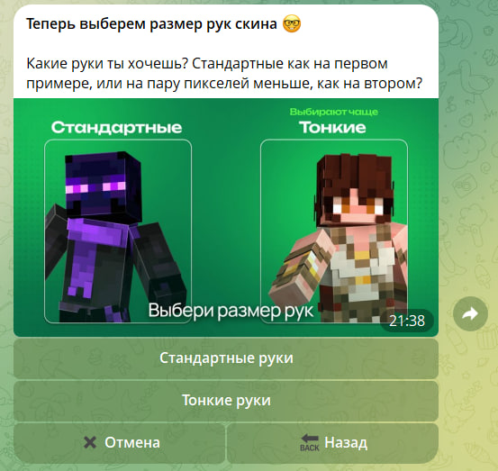 Шаг 7: Пишешь описание — что именно ты хочешь видеть в скине (стиль, цвета, элементы).