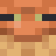 Голова Minecraft — Angel Frog