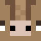 Голова Minecraft — Aardvark