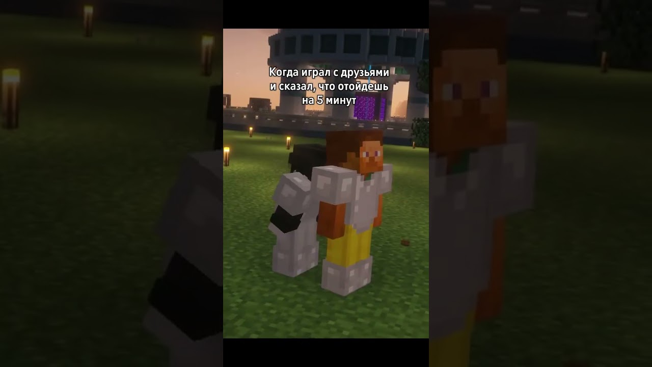 Когда отошёл на 5 минут... #minecraft