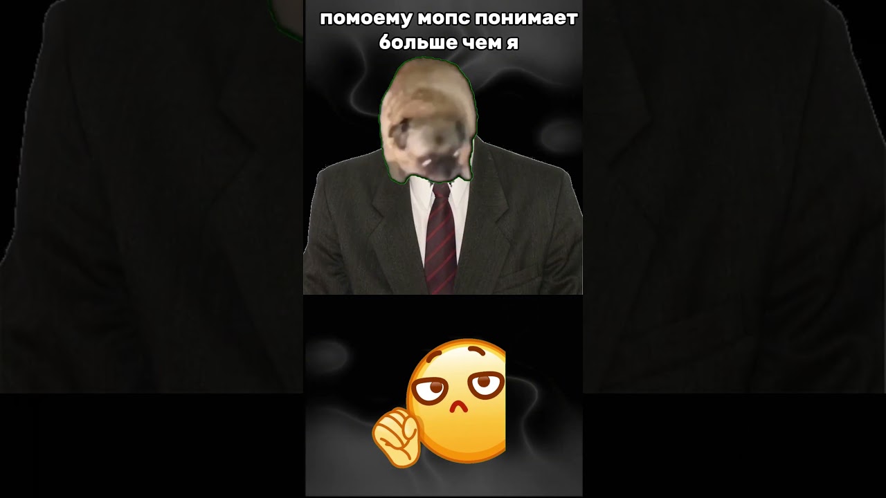 Лучший пве сервер? #fyp #reels #feelings #best #realestate #gaming #smallbusiness #funny #fun