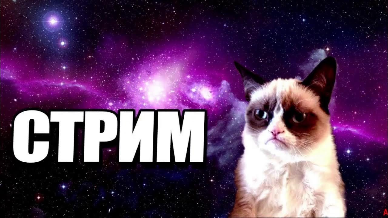 Майнкрафт Стрим